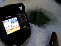 image of Humminbird 597 showing Walleyes 